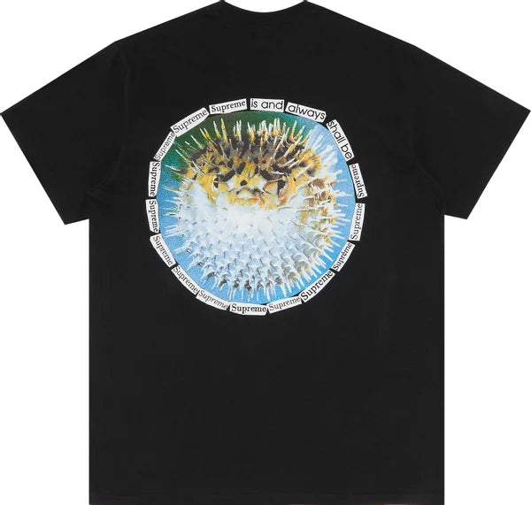 Supreme Blowfish Tee